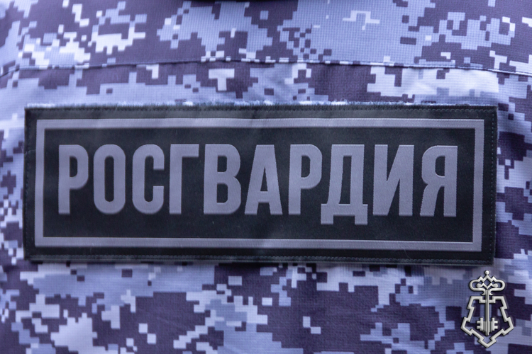 В Пскове росгвардейцы задержали подозреваемую в краже