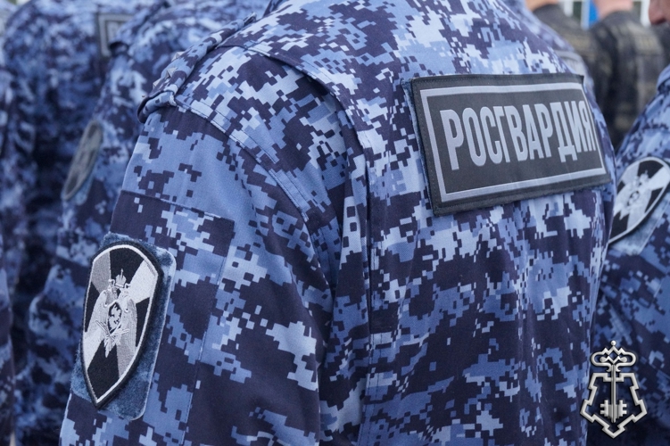 В ВЕЛИКИХ ЛУКАХ РОСГВАРДЕЙЦЫ ЗАДЕРЖАЛИ ПОДОЗРЕВАЕМУЮ В КРАЖЕ