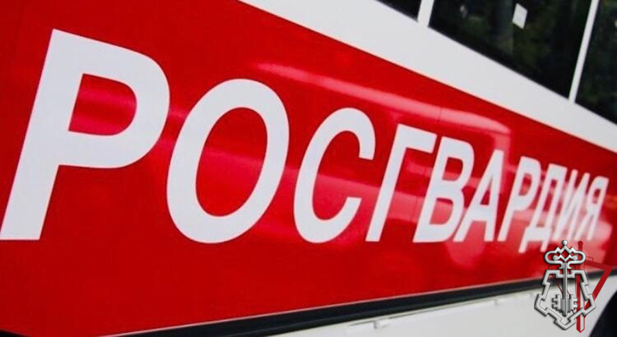 В Пскове сотрудники Росгвардии задержали подозреваемую в краже