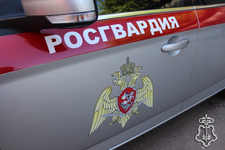 Росгвардейцы задержали подозреваемого в хищении