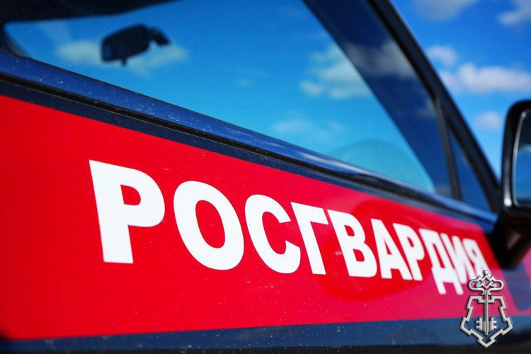 В Пскове росгвардейцы задержали подозреваемого в грабеже
