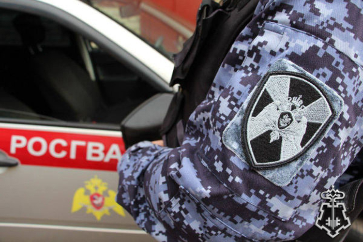 В Пскове росгвардейцы задержали подозреваемого в краже