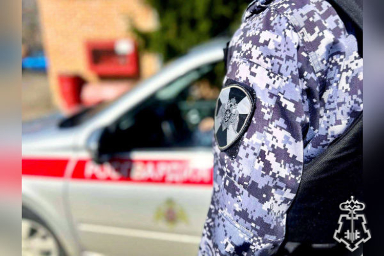 В Пскове росгвардейцы задержали подозреваемого в краже
