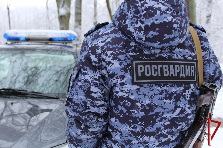 В Пскове сотрудники Росгвардии задержали подозреваемого в краже