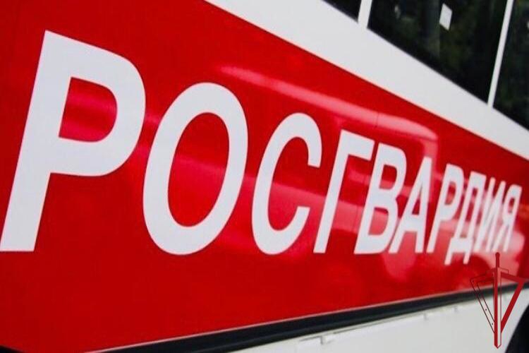 В Пскове росгвардейцы задержали женщину, подозреваемую в краже