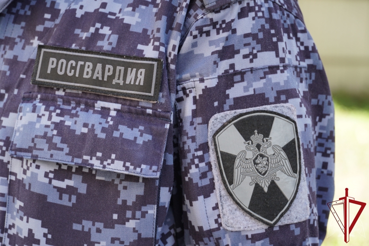 В Пскове сотрудники Росгвардии задержали подозреваемого в краже