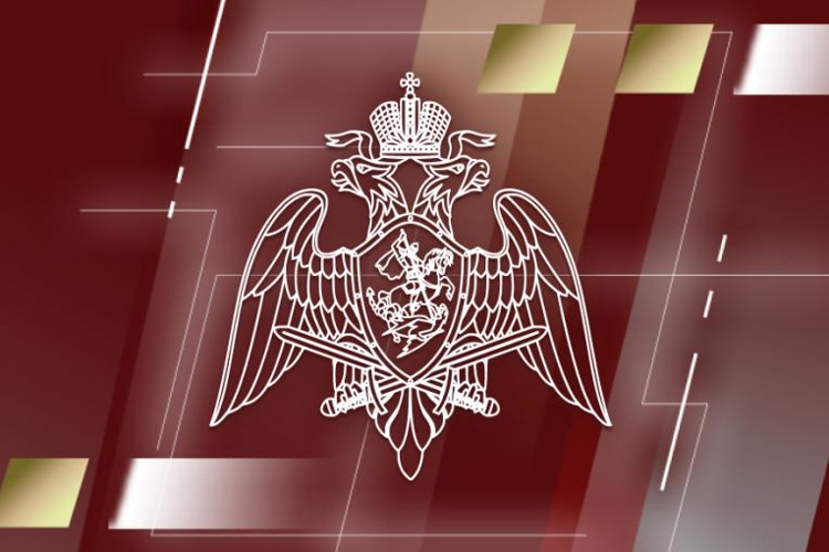 Росгвардия обеспечила правопорядок и общественную безопасность в новогоднюю ночь