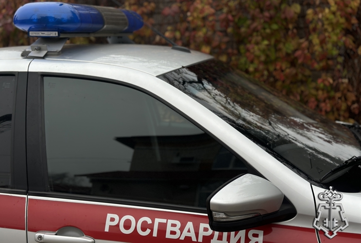 30 сентября Управление Росгвардии по Псковской области отмечает 10 лет со дня образования